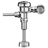 Shop Flushometer Valves