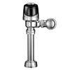 Shop Flushometer Valves