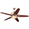 Shop Choosing a Ceiling Fan