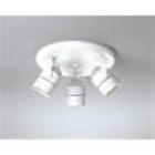 Shop Accent / Spot Lights