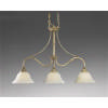 Shop Island / Billiard Fixtures