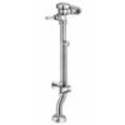 Shop Bedpan Flushometer Valves