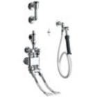 Shop Bedpan Faucets