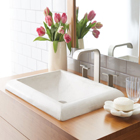 Shop Native Trails Bathroom Sinks