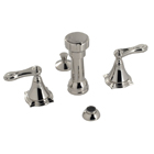 Shop Bidet Faucets