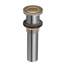 Shop Drain Assembly