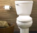 American Standard Champion 4 Flush Valve and Flushing Test