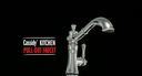 Delta Cassidy Pull-Out Kitchen Faucet