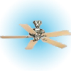 Shop Fans