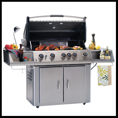Shop Freestanding Barbecue Grills