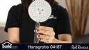 Hansgrohe 04187 Hand Shower Set